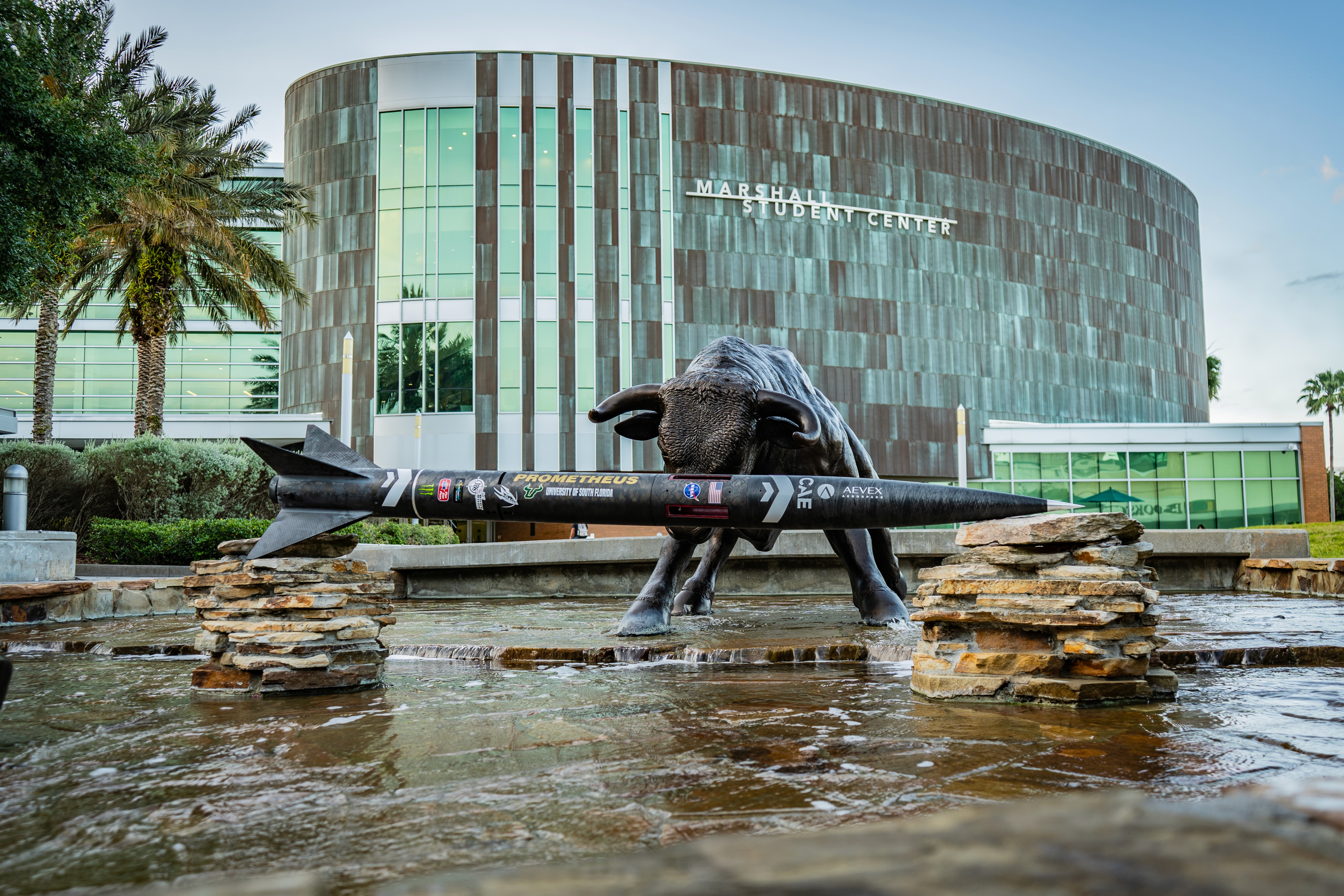 Rocket in front of bull statue